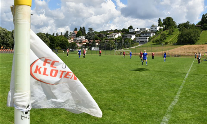 Erfolgreiche Testspiele